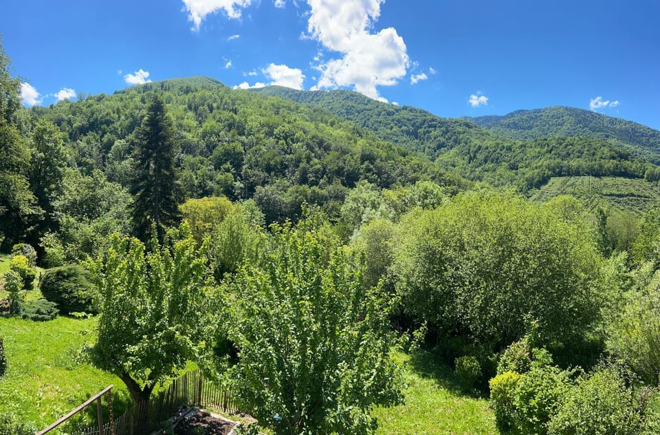 Maison SItta Bed and Breakfast in Occitanie
