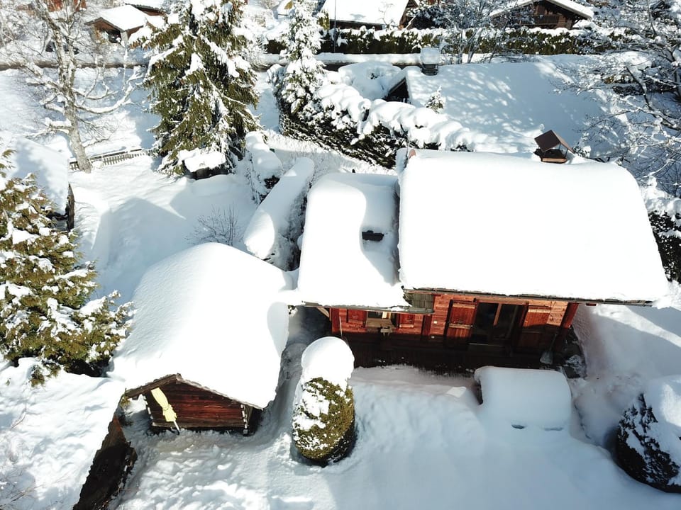 Chalet LA MARMOTTE Chalet in Les Houches