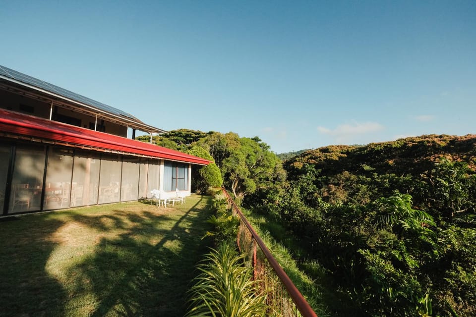 Day, Natural landscape, Garden, Garden view