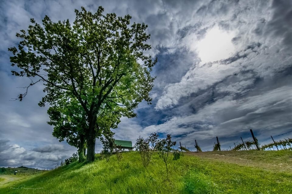 Natural landscape