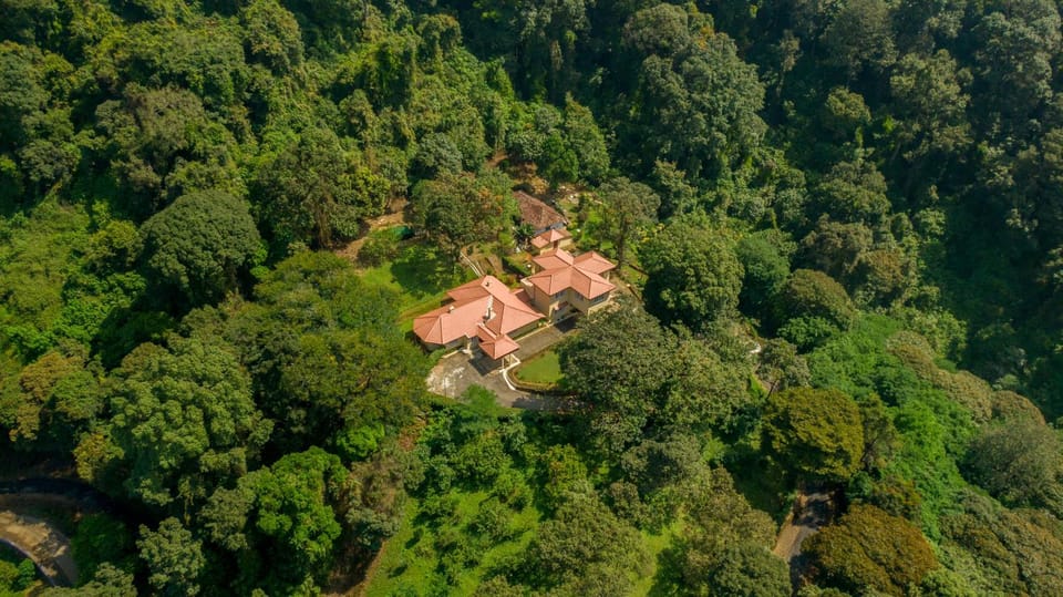 Property building, Bird's eye view, View (from property/room)