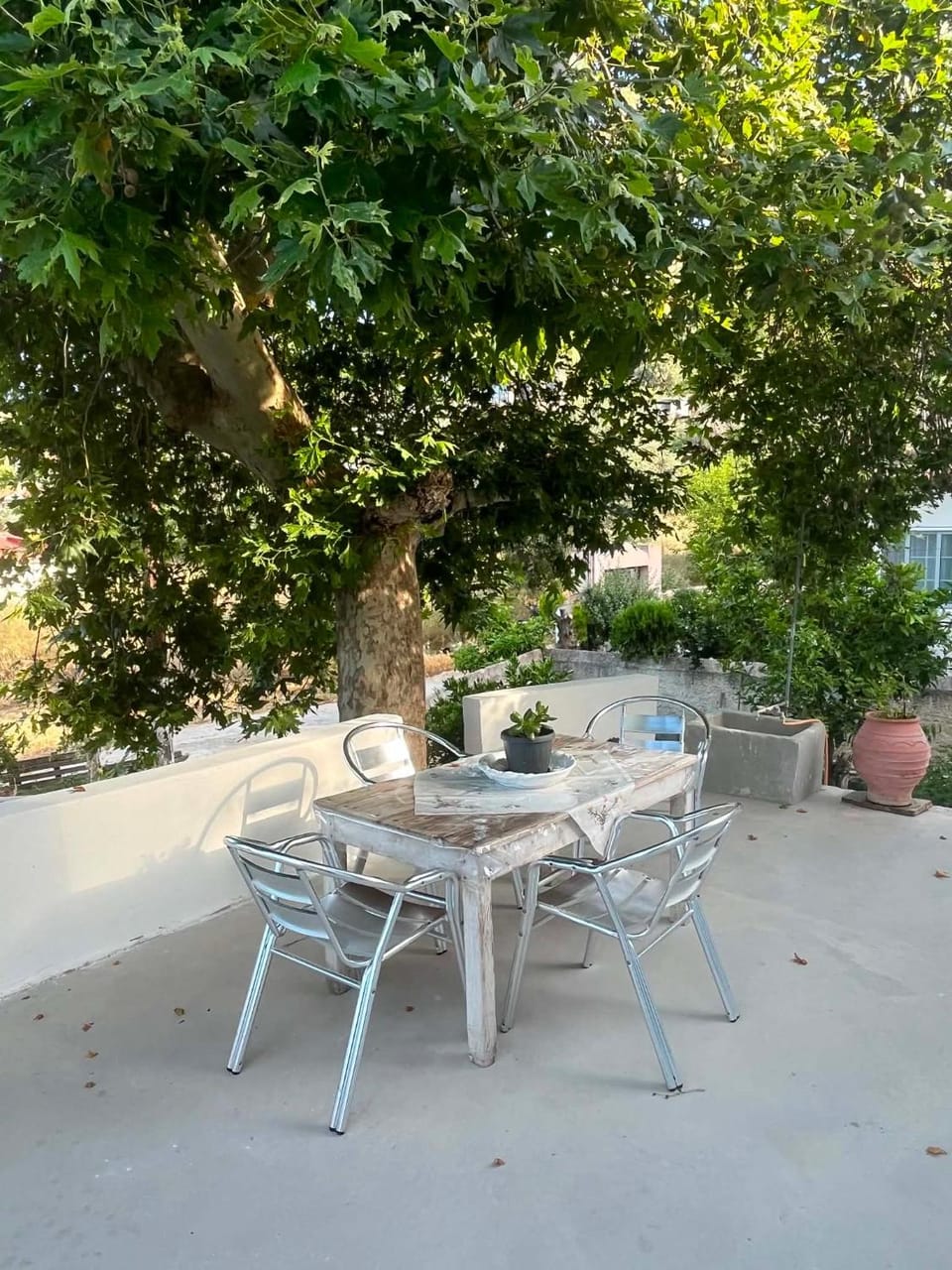 Patio, Garden