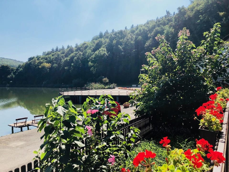 View (from property/room), Lake view