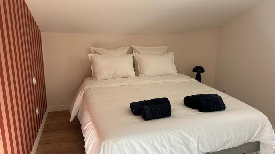 Logement près du Château de Brissac - Proche Angers Apartment in Pays de la Loire