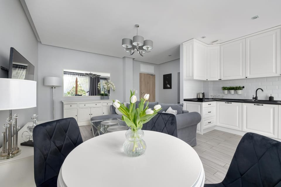 Kitchen or kitchenette, Living room, Seating area, Dining area, stove