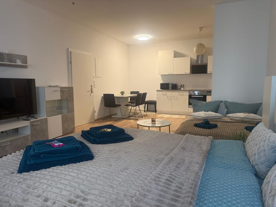 Excelsior Apartment in Graz