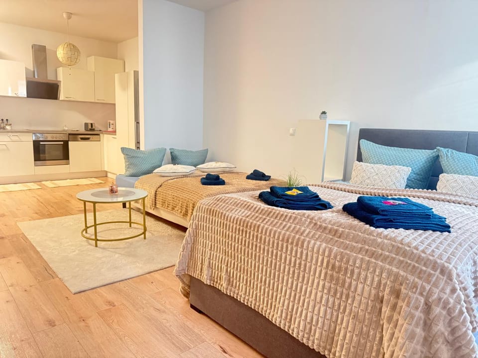Excelsior Apartment in Graz