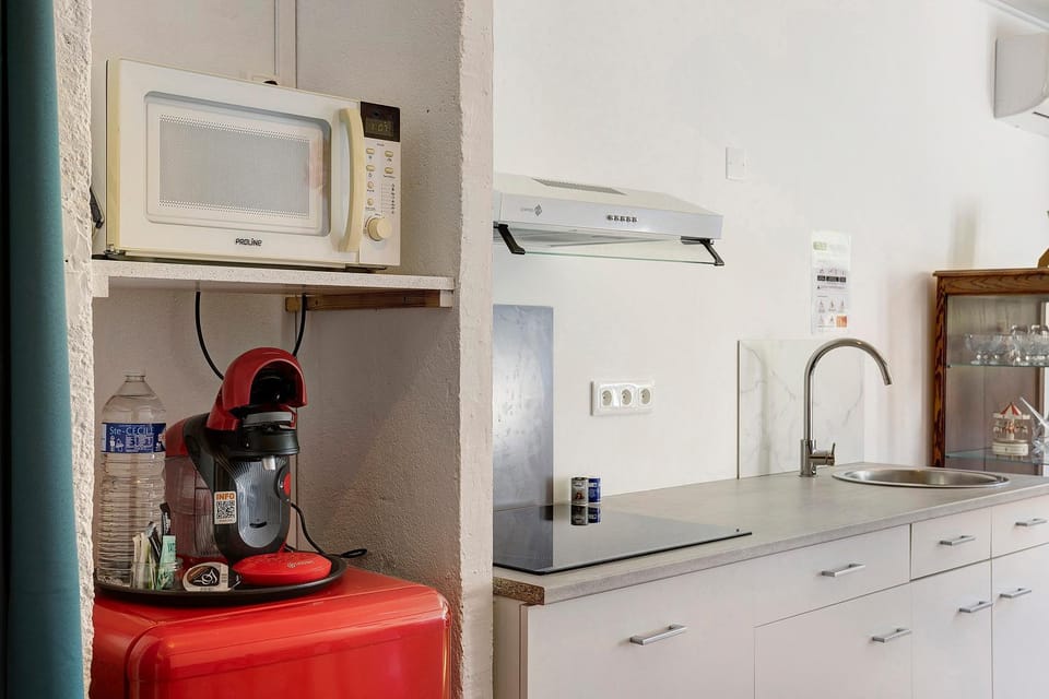 La Roussette Apartment in Ripollès