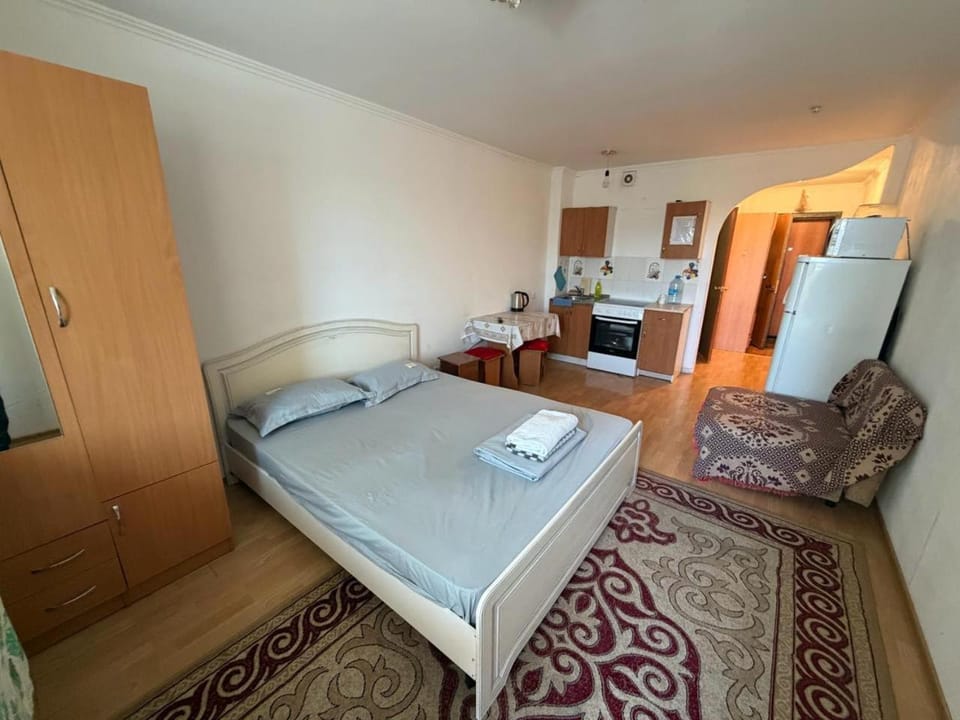 Уютная квартира на правом берегу Apartment in Kazakhstan