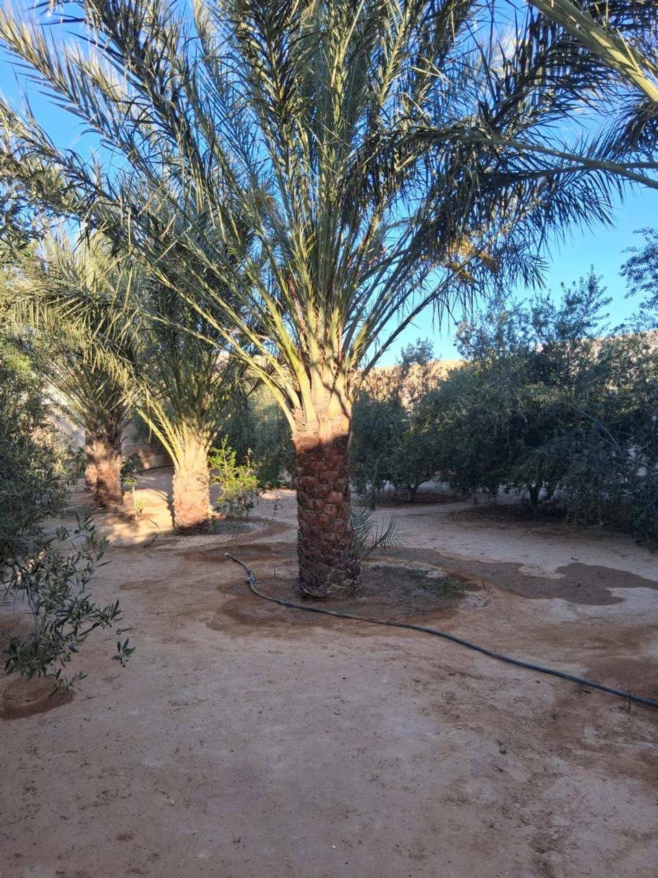 Ksour tataouine Apartment in Tunisia