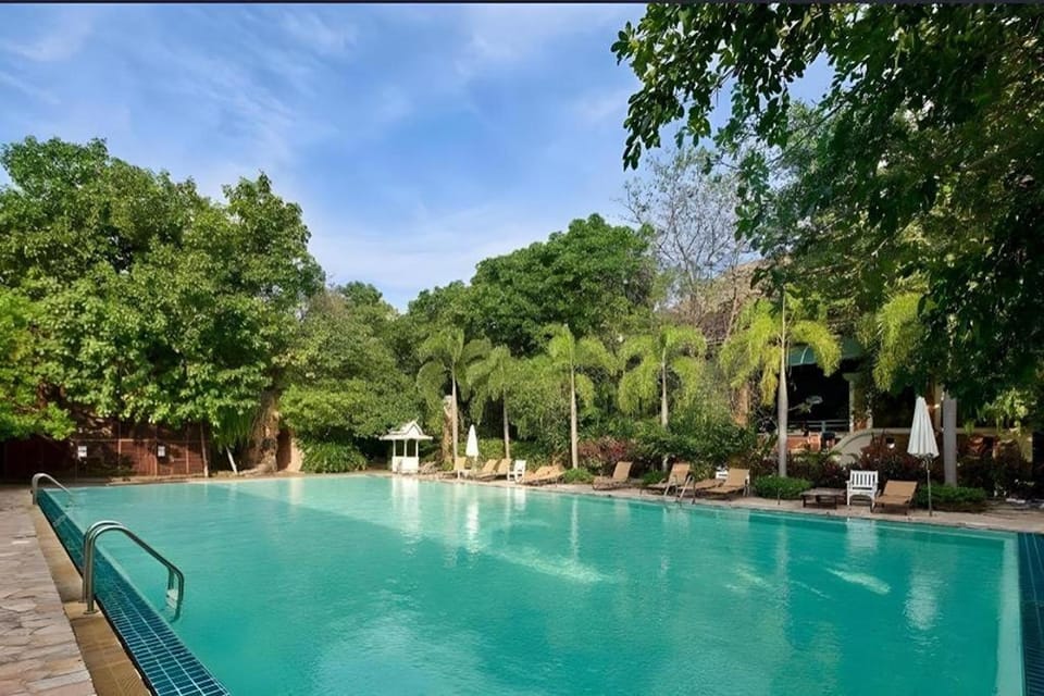 Swimming pool, Swimming pool