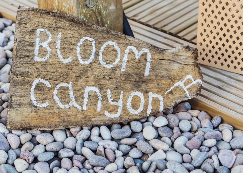 Bloom Canyon luxury bell tent glamping By Air Premier Luxury tent in Alfriston