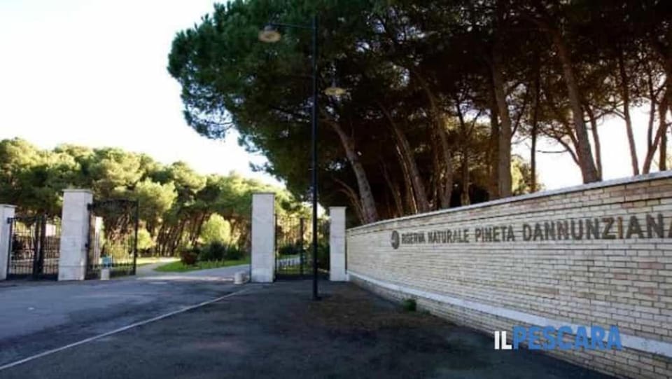 Pescara INN - Pineta Retreat Apartment in Pescara