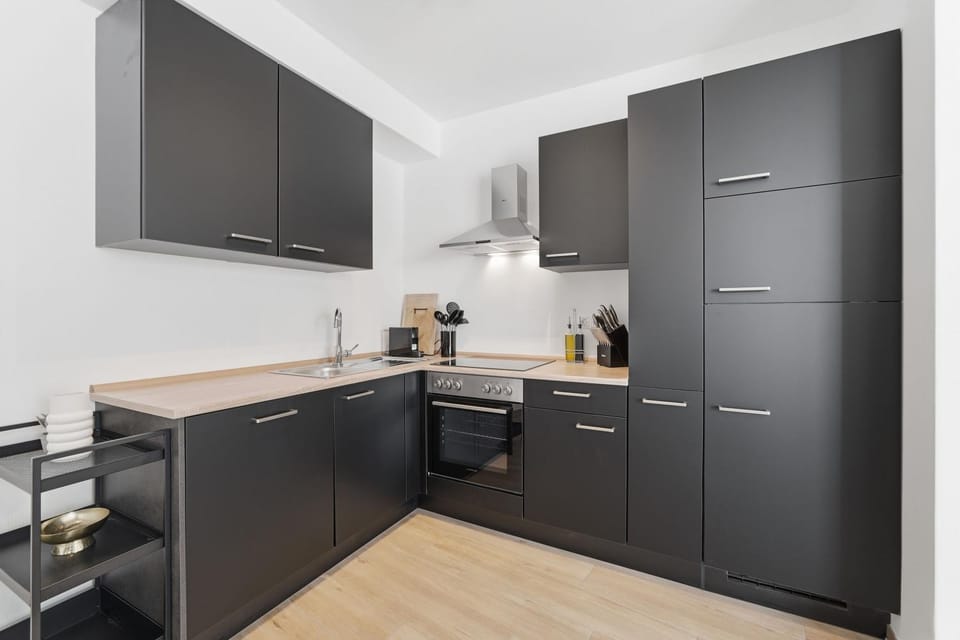 Kitchen or kitchenette, dishwasher, heating, heating, internet, oven, stove, toaster