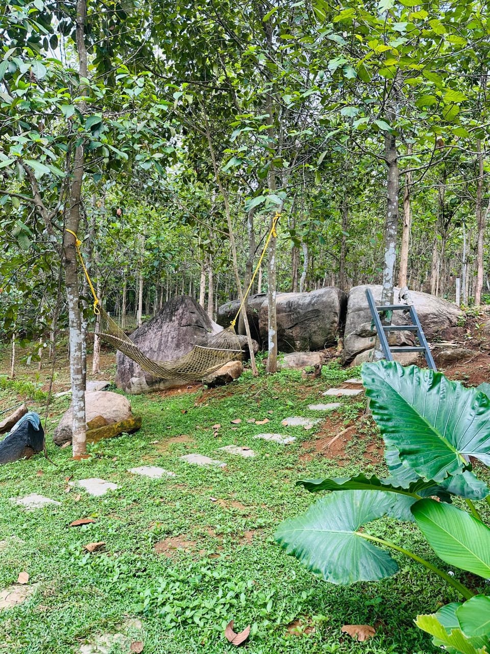 TeakNkoodu Apartment in Kerala