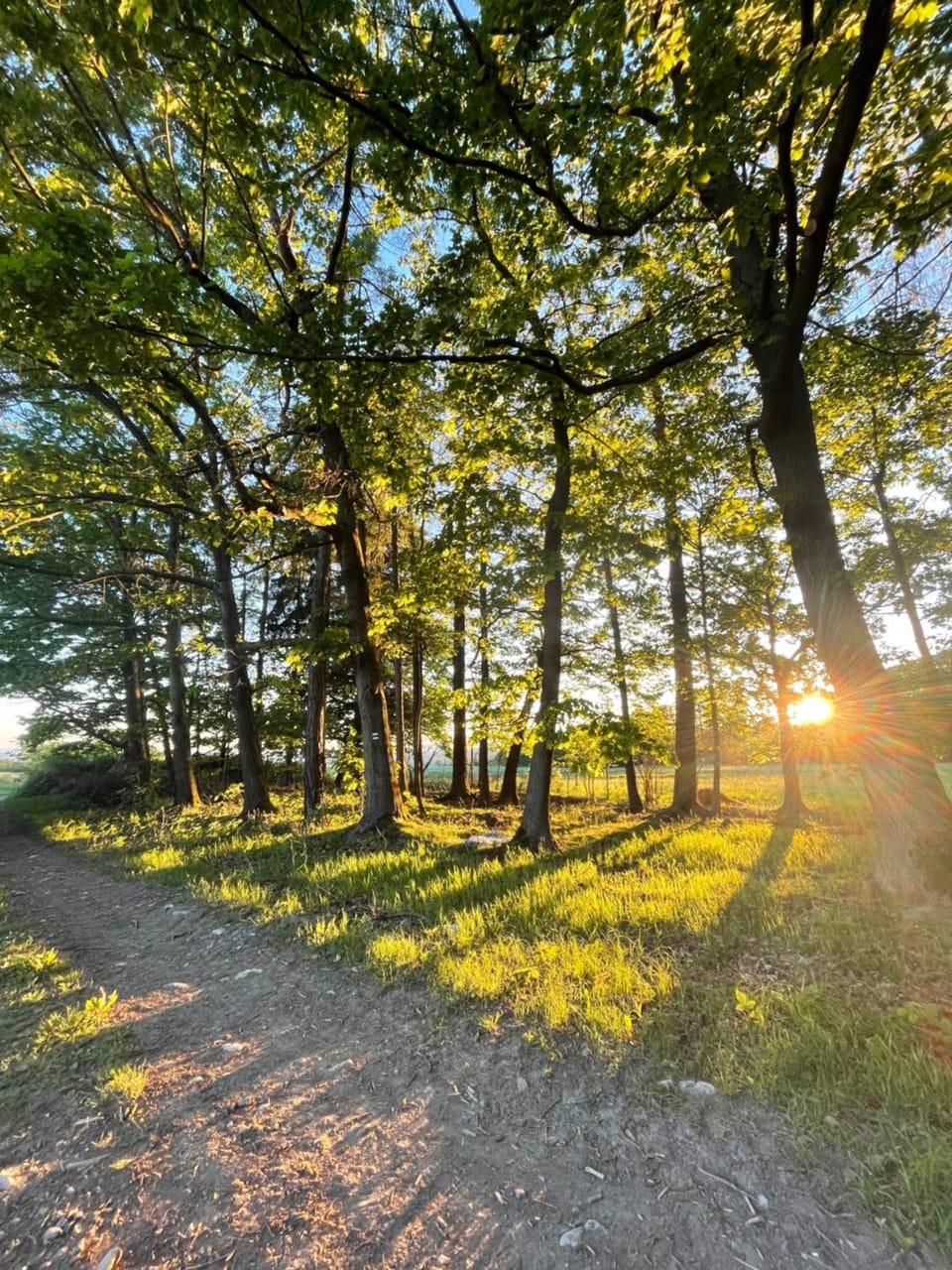 Natural landscape, Sunset