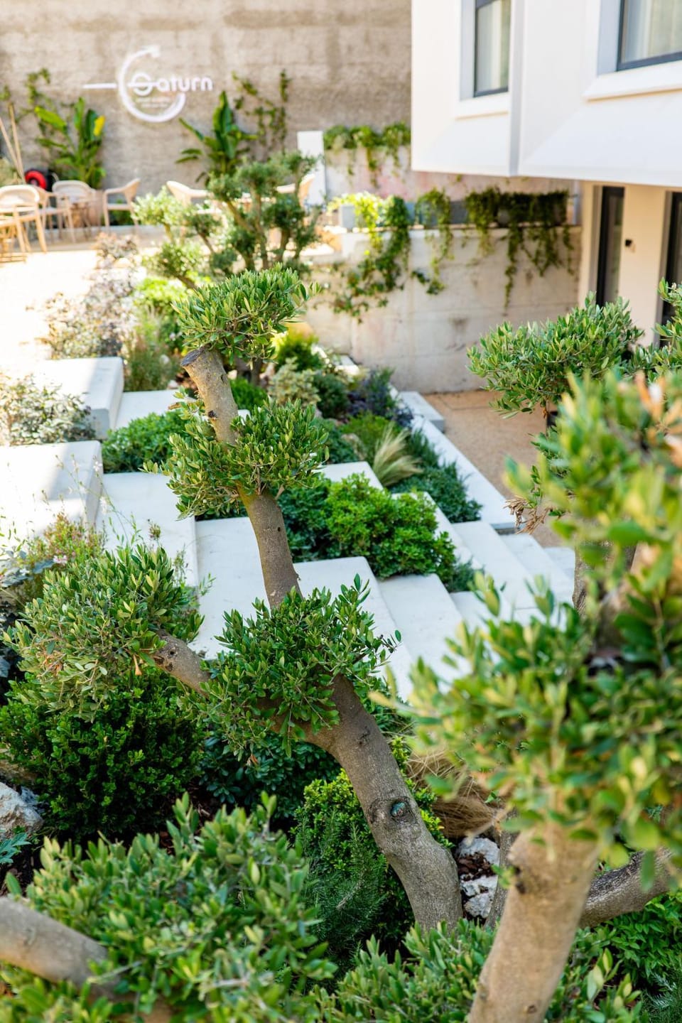 Spring, Day, Garden, Garden, Garden view