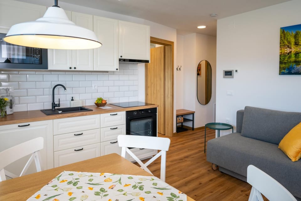 Kitchen or kitchenette, Living room, Seating area, Dining area, stove