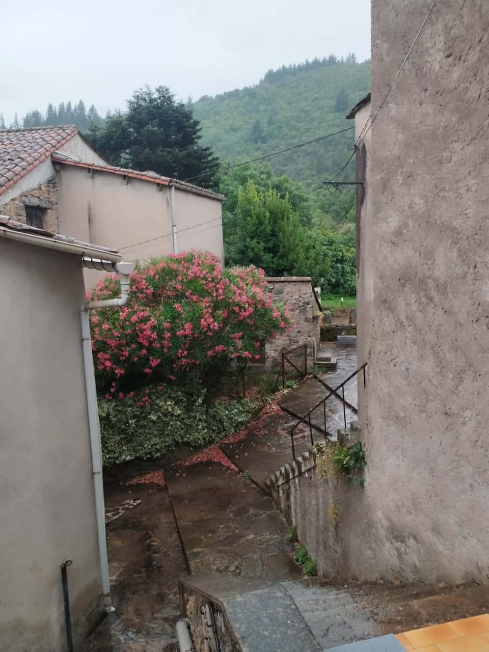 Dometcheque - Nature & Hiking Retreat in Occitania House in Occitanie