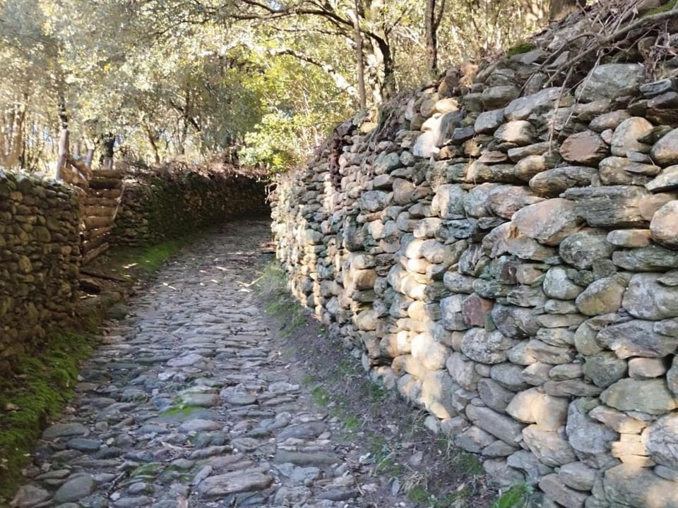 Dometcheque - Nature & Hiking Retreat in Occitania House in Occitanie