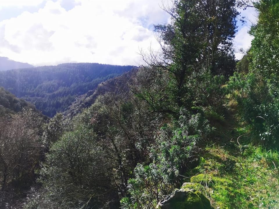 Dometcheque - Nature & Hiking Retreat in Occitania House in Occitanie