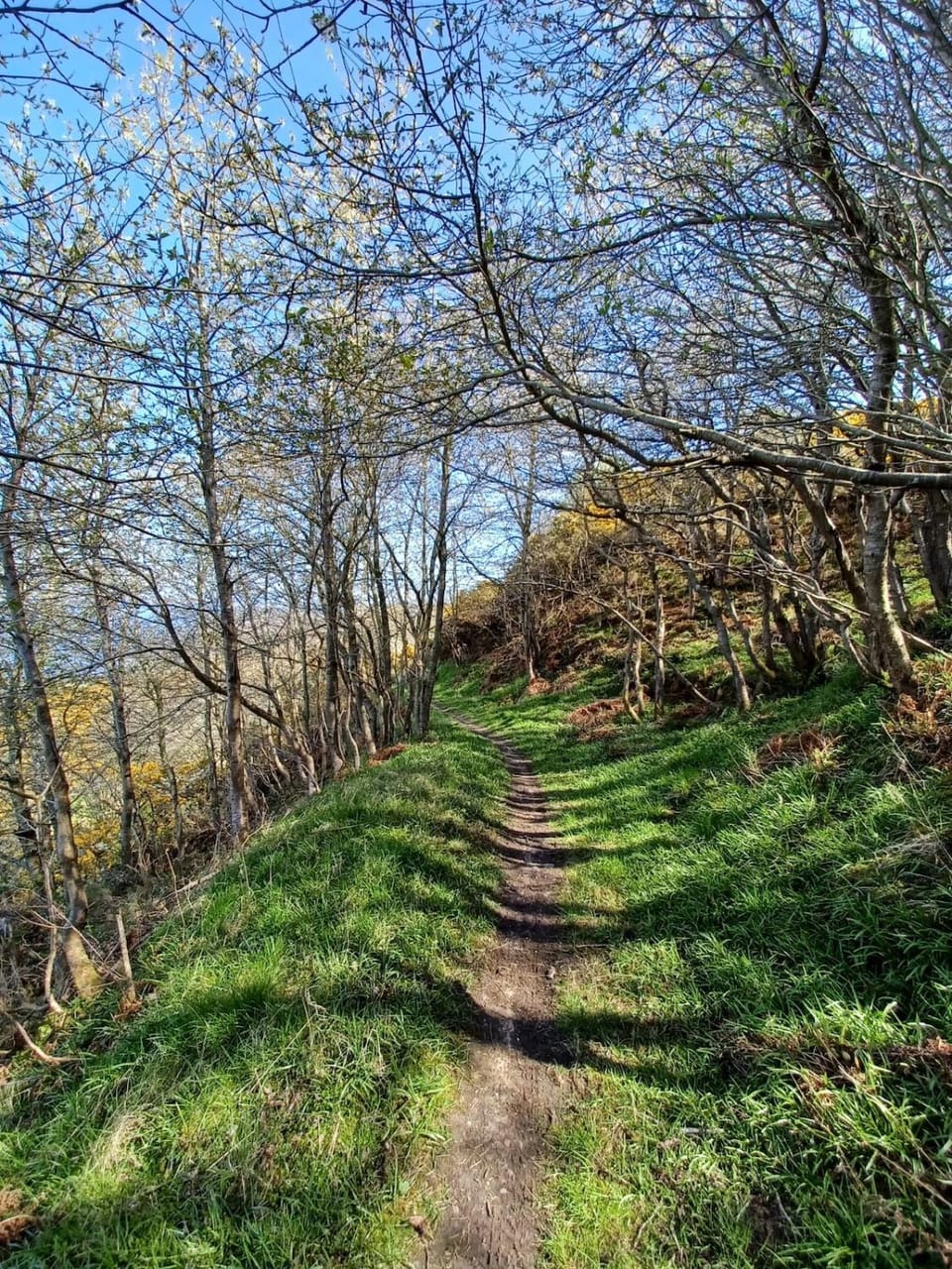 Spring, Natural landscape