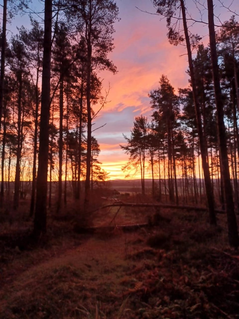 Natural landscape, Sunset