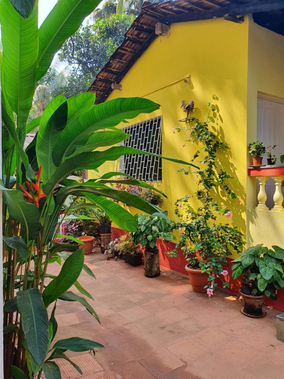 Spring, Day, Garden, Garden view