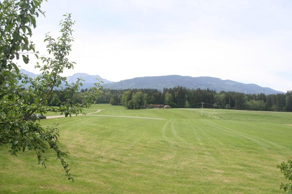 Sonnseite in Punschern Apartment in Berchtesgadener Land