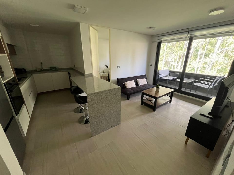 Kitchen or kitchenette, Living room