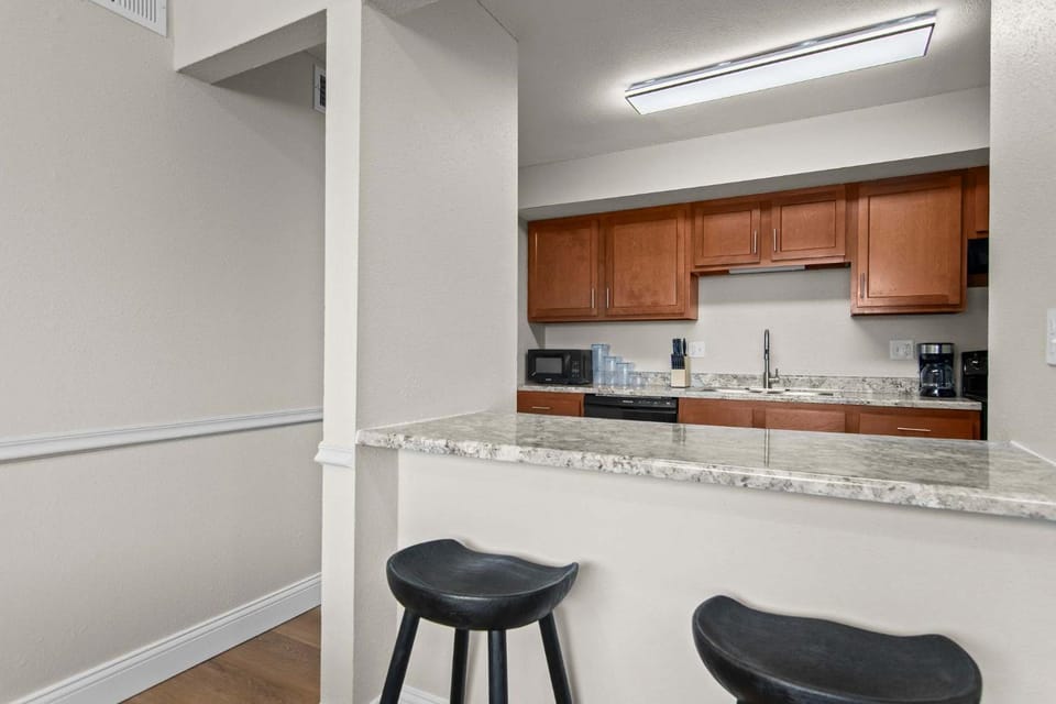 Newly Renovated Unit in Central Spfld #101 Apartment in Springfield