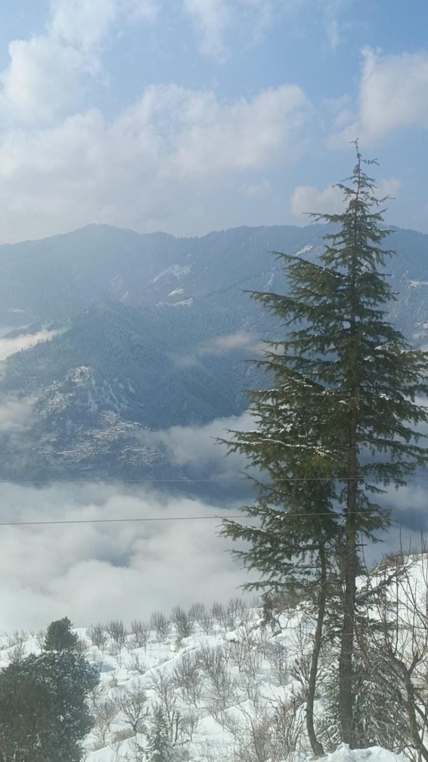 360 View' Place Homestay Bed and Breakfast in Himachal Pradesh