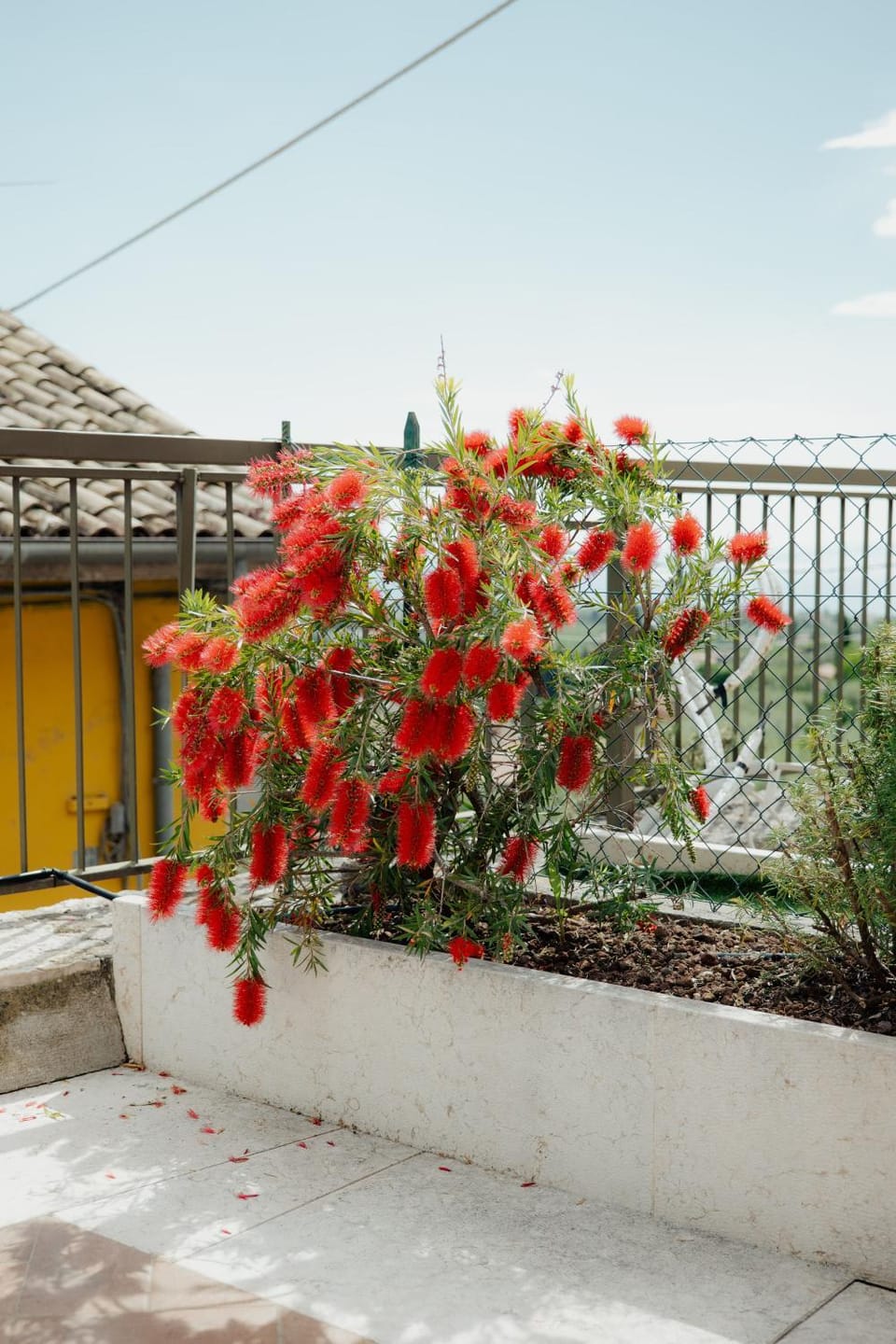 Spring, View (from property/room), Balcony/Terrace