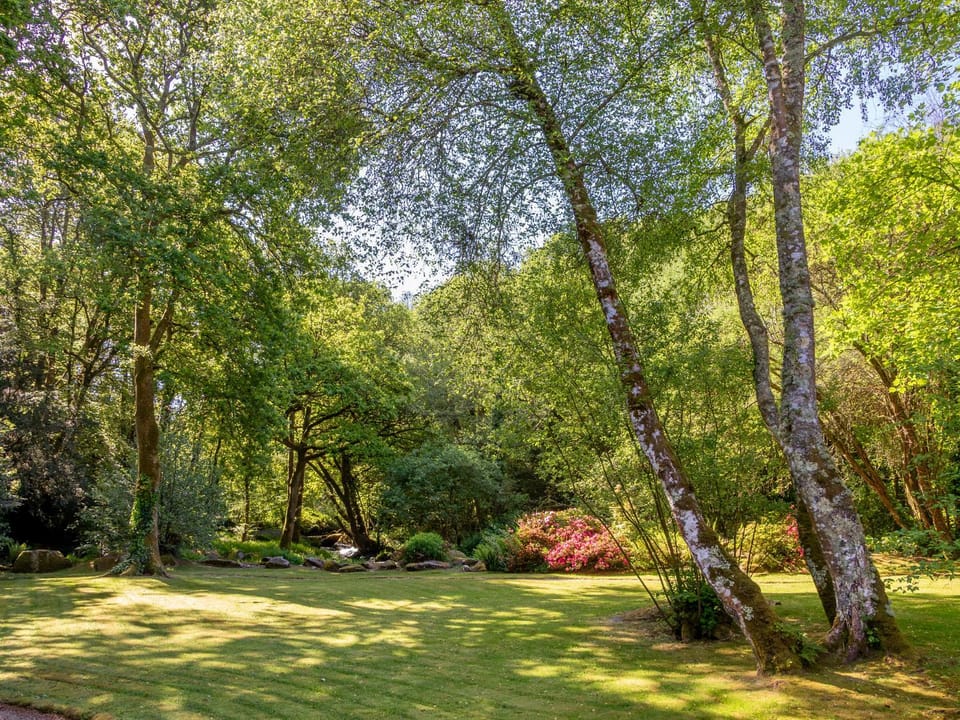 Spring, Natural landscape, Garden, Garden view
