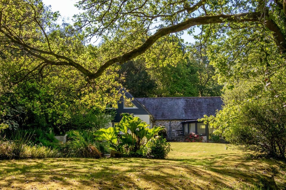 Property building, Spring, Day, Garden, Garden view