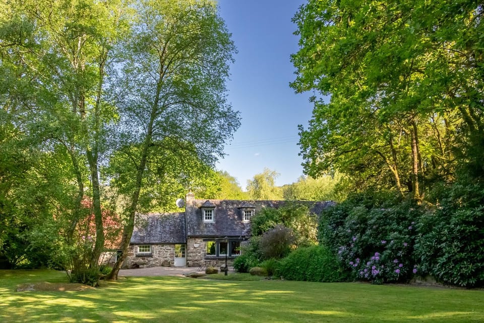 Property building, Facade/entrance, Spring, Garden
