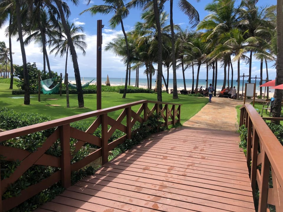 Day, Natural landscape, Garden, Beach, Garden view, Sea view