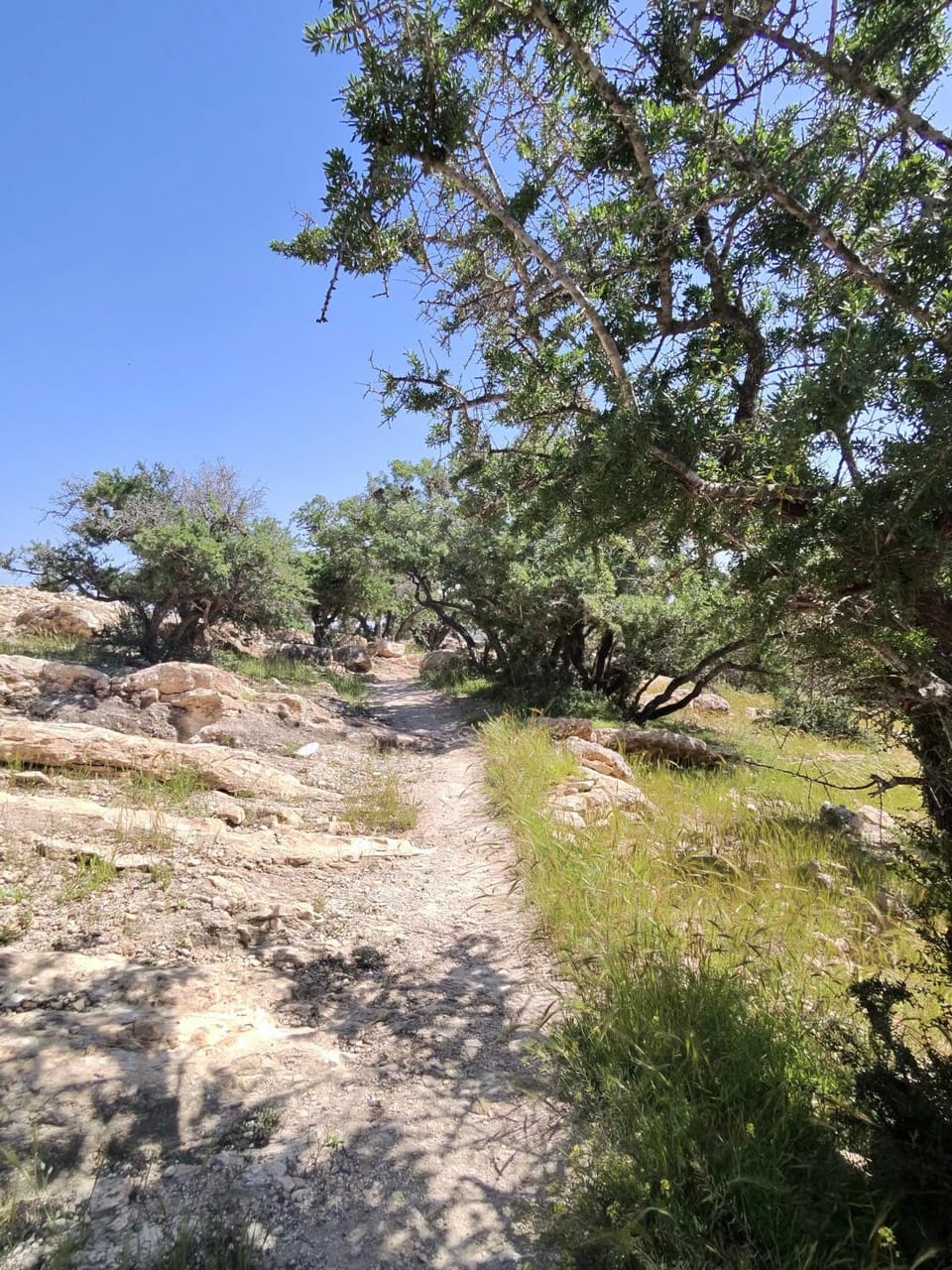 House Taghazout Tranquil Bed and Breakfast in Souss-Massa