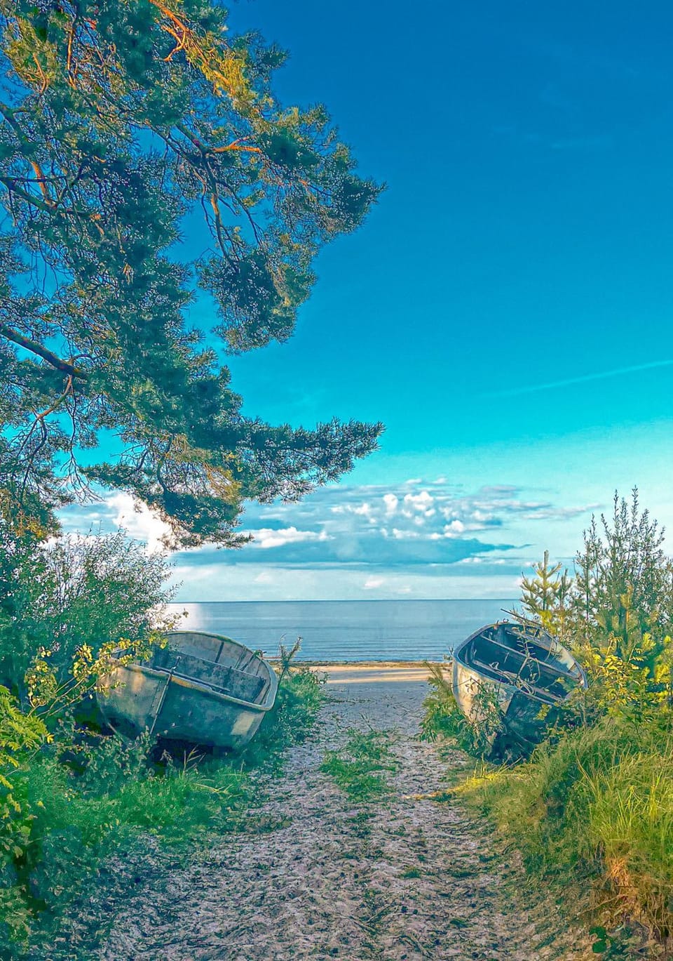Sea view