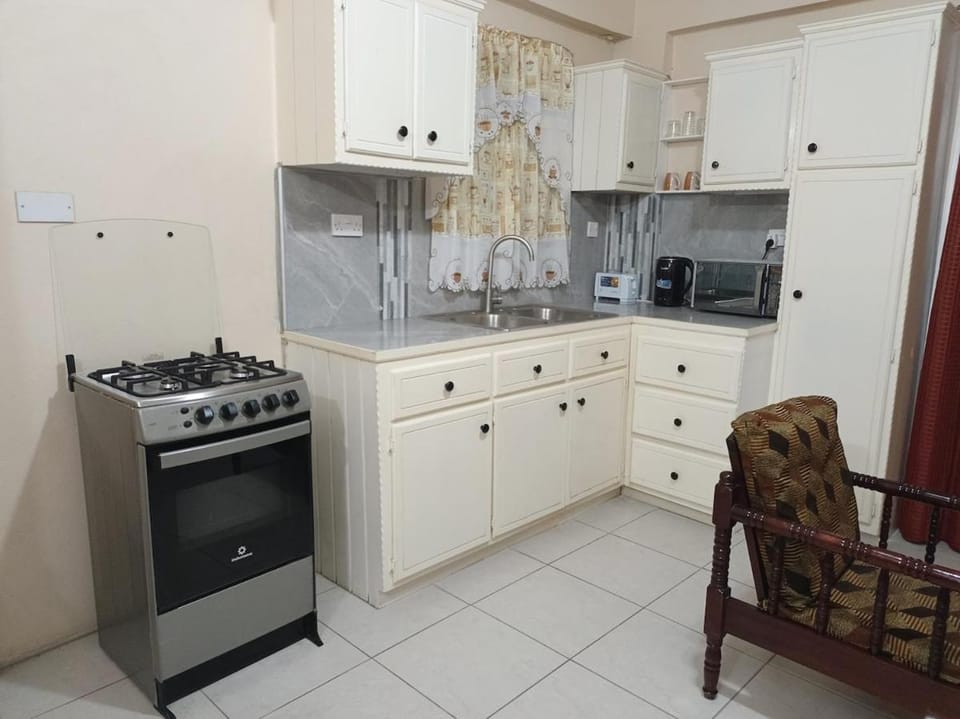 The Cozy Quest 1-Bedroom Apartment near Med Schools & Argyle Airport Apartment in Caribbean