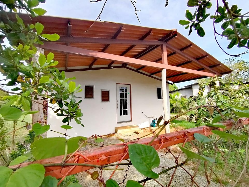 Property building, Day, Garden view