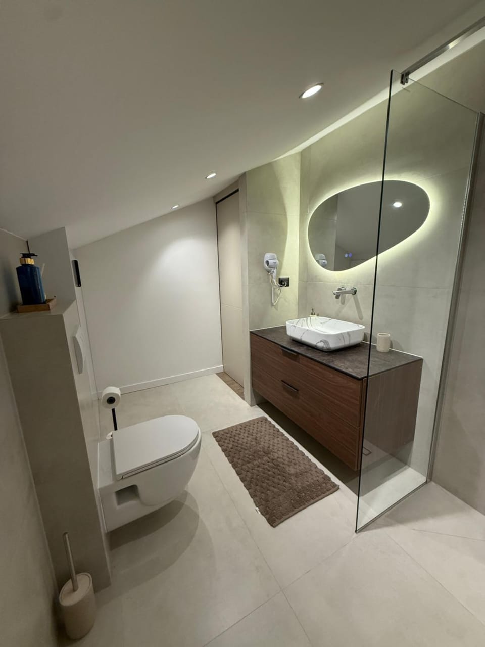 Shower, Toilet, hair dryier