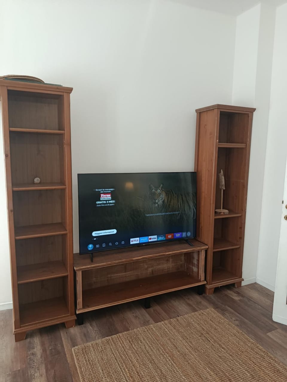 TV and multimedia