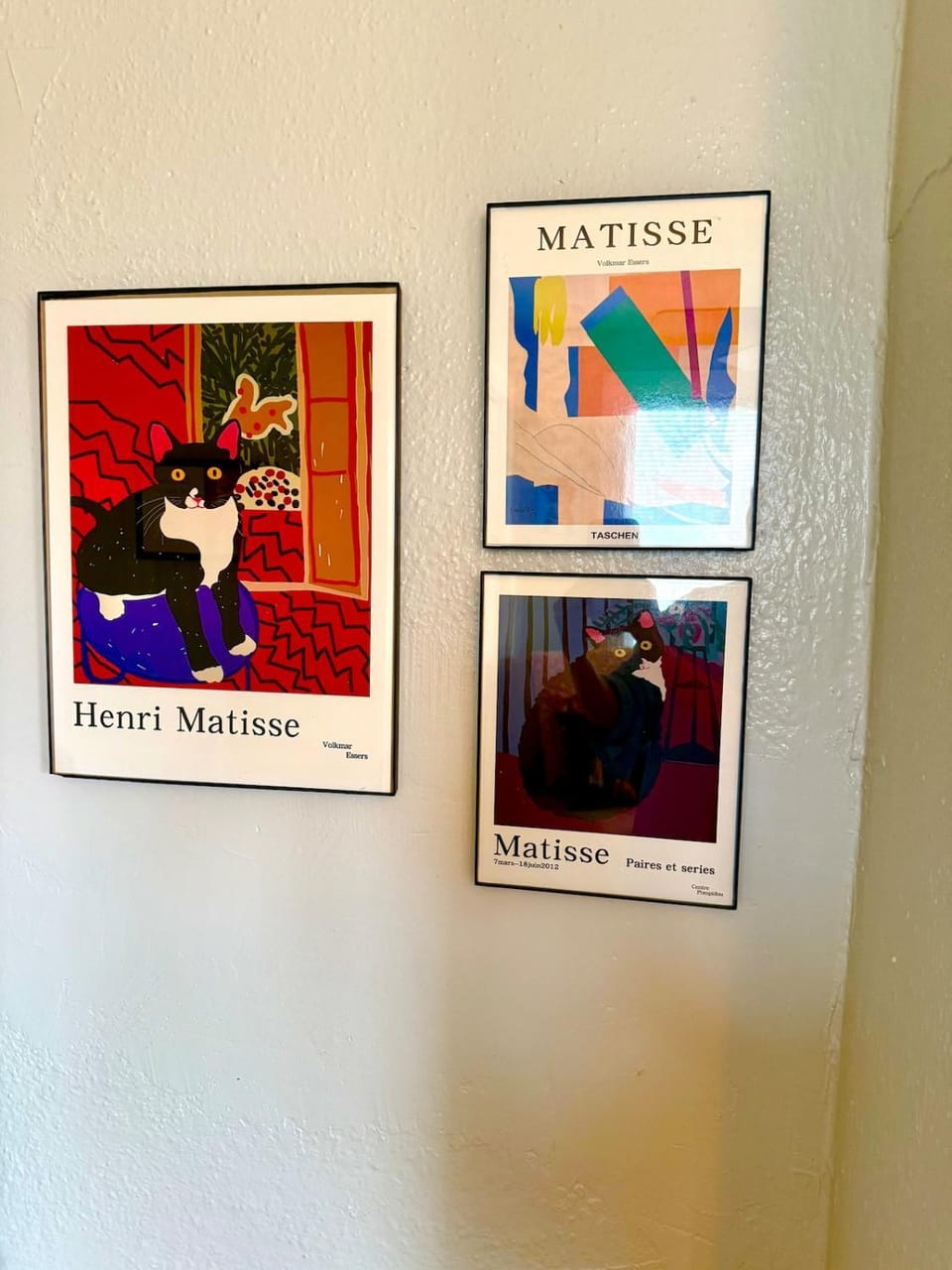 Decorative detail, pet friendly