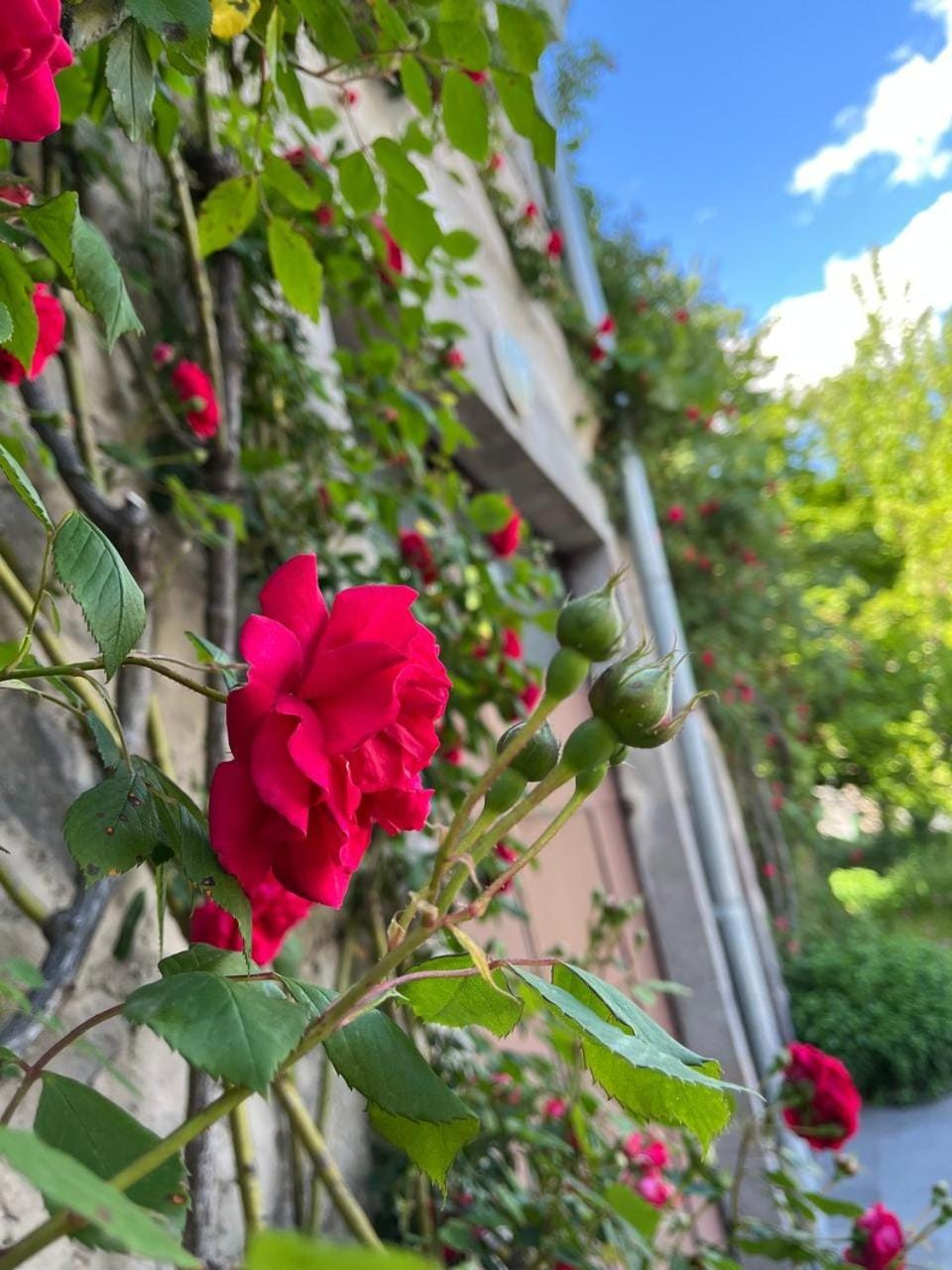 Narek Home Goris Bed and Breakfast in Armenia
