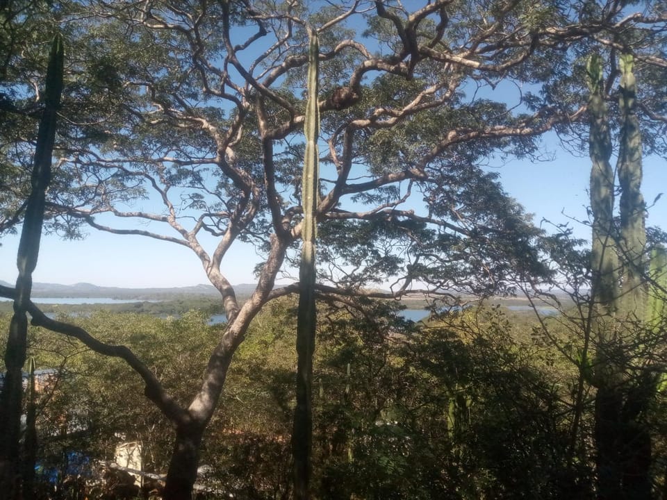 Weaver's Nest Backpackers Accommodation Bed and Breakfast in Zimbabwe