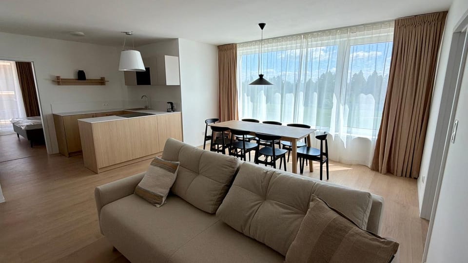 Kitchen or kitchenette, Living room, Seating area, Dining area