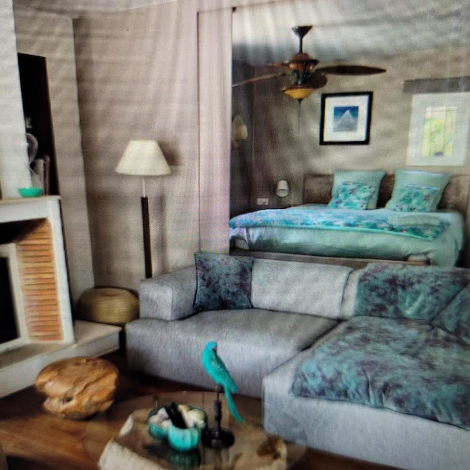 Beautiful house with sea view in La Croix-Valmer Apartment in La Croix-Valmer