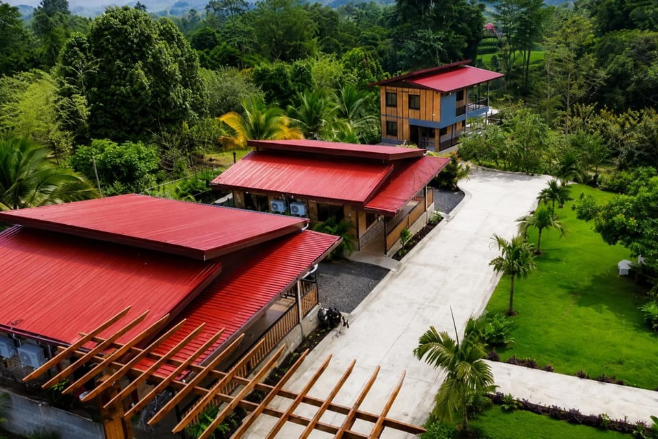 Property building, Day, Natural landscape, Garden view, Street view