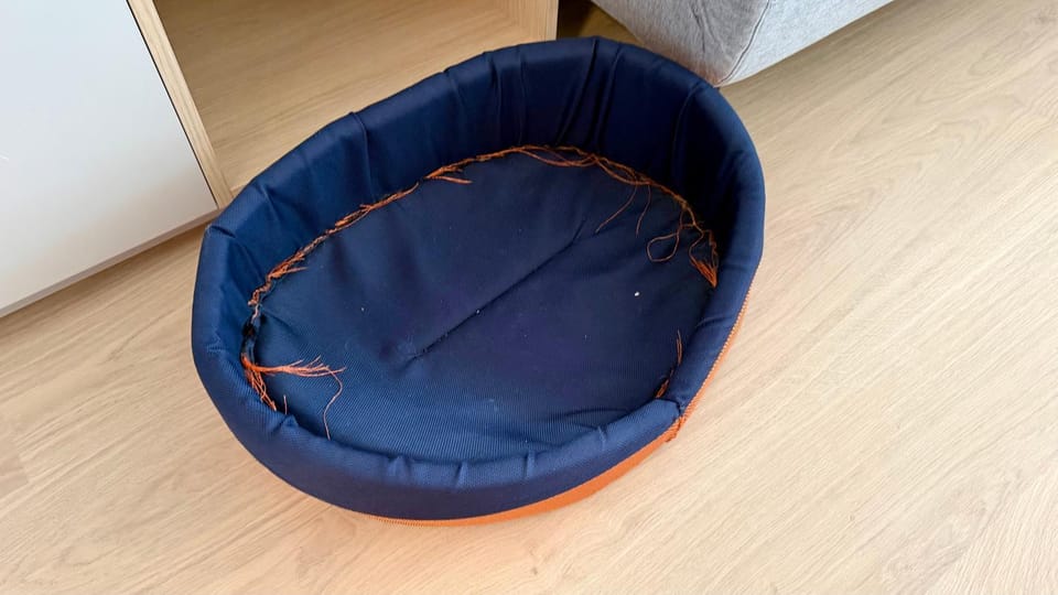 pet friendly